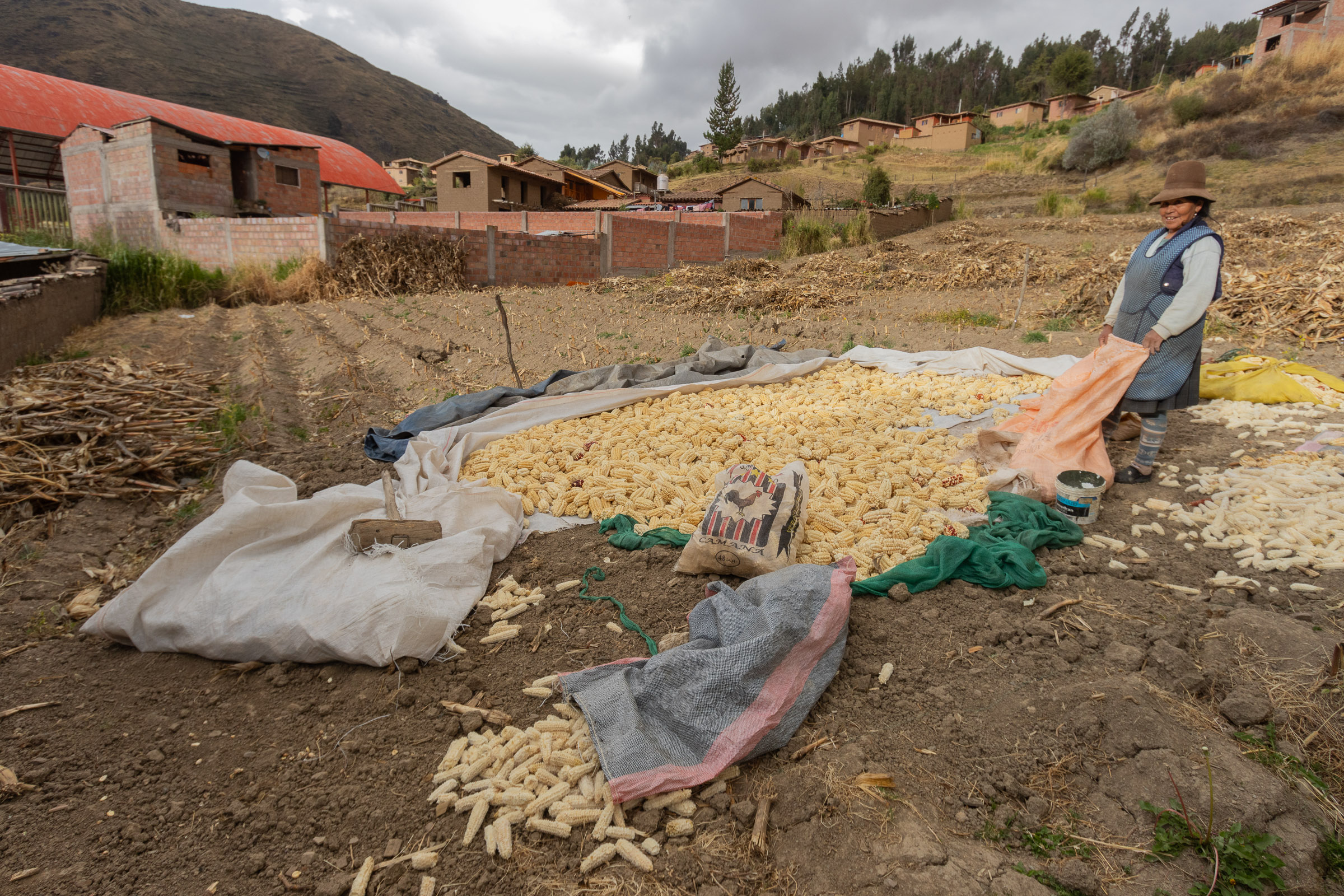 Andes: tiempo y territorio