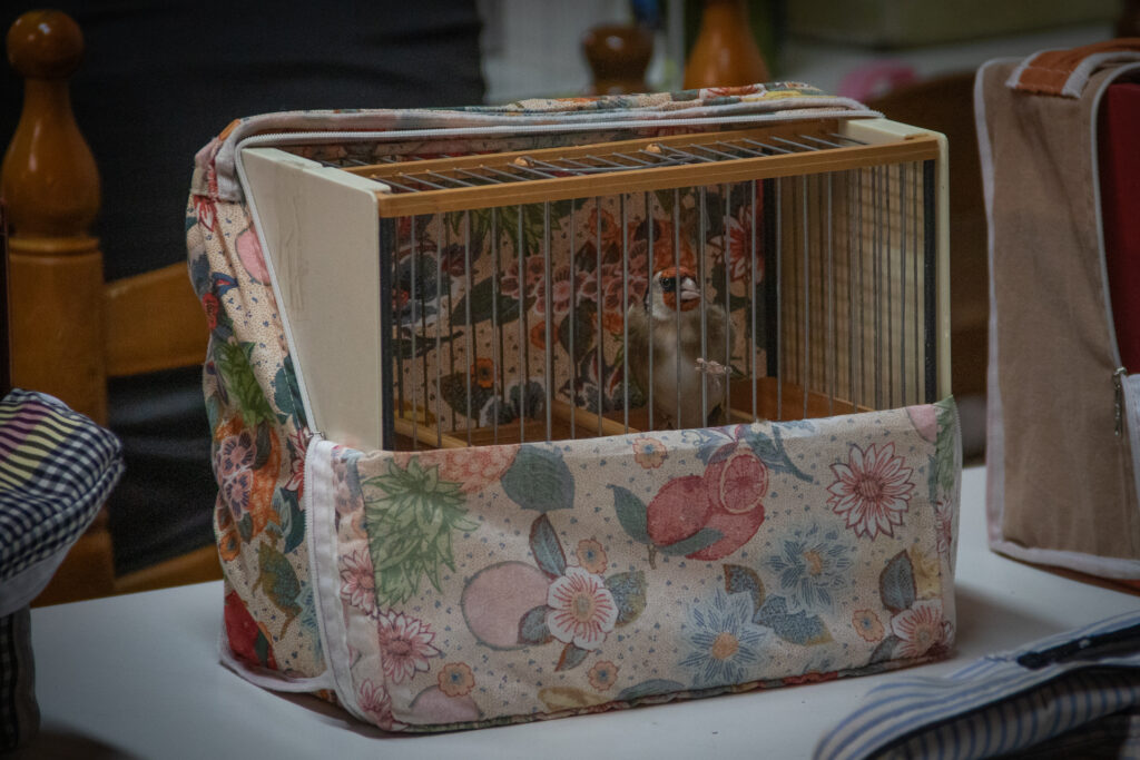 Las jaulas son cubiertas con fundas para reducir el estrés de los pájaros.
