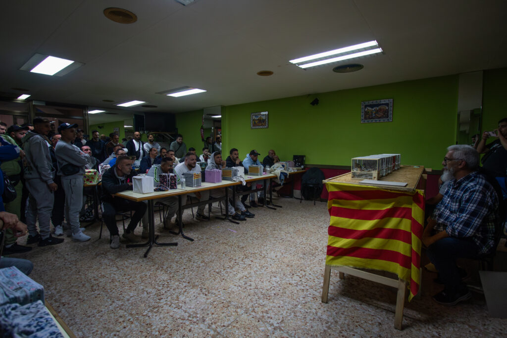 En el área metropolitana de Barcelona, la comunidad gitana sostiene la tradición organizando concursos semanalmente.